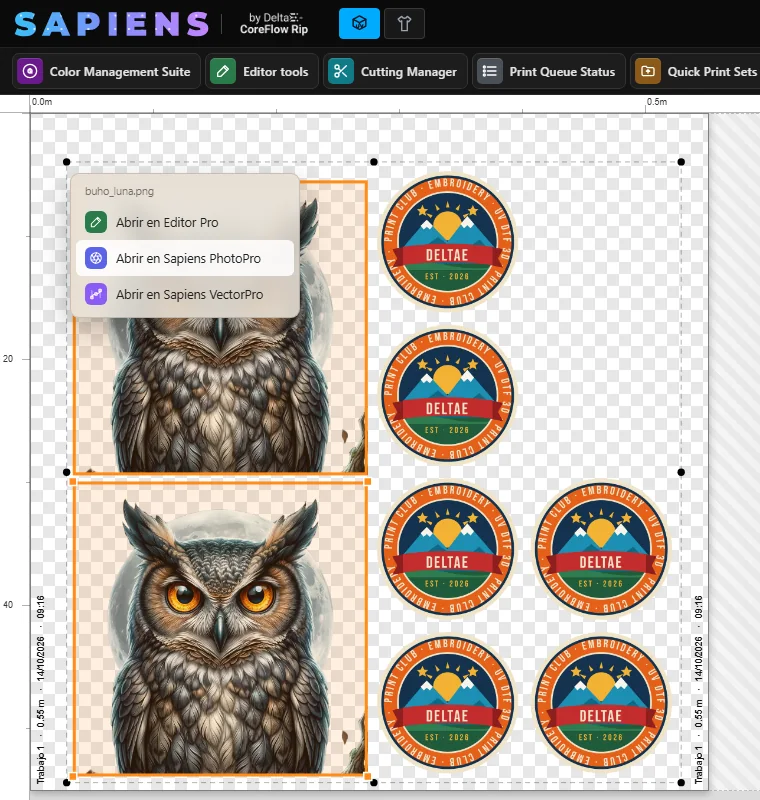 Botón derecho sobre una imagen del pliego: abrir en Editor Pro, PhotoPro o VectorPro.