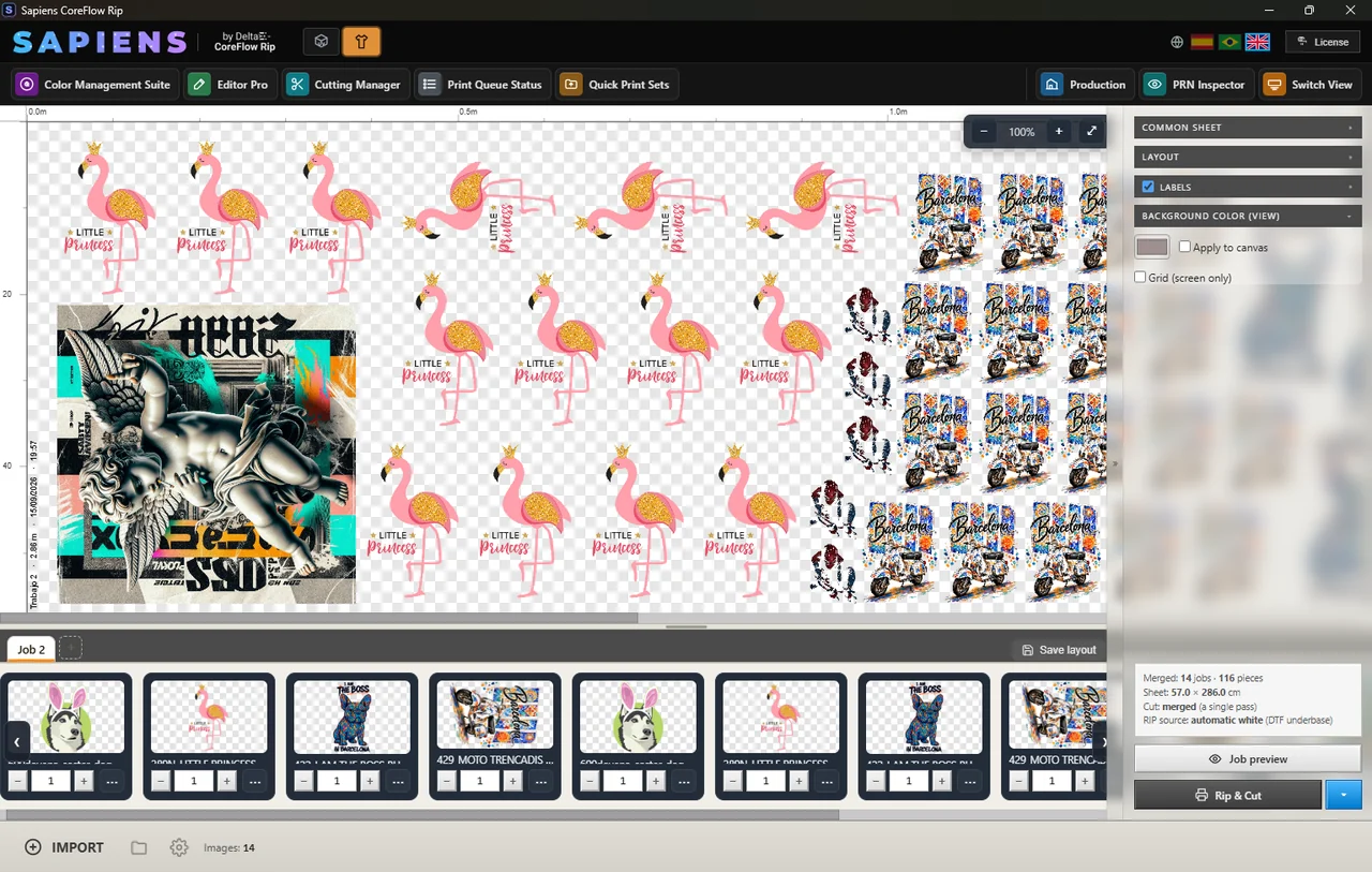 Gang sheet montado automáticamente en Sapiens CoreFlow RIP